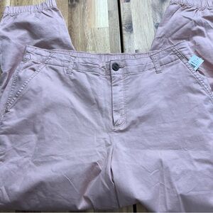 NWT GAP Women’s Pink Tapered Pants – Size 14